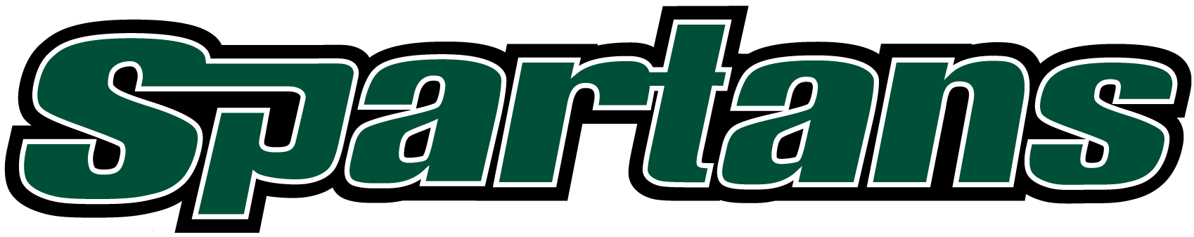 USC Upstate Spartans 2003-2010 Wordmark Logo diy iron on heat transfer